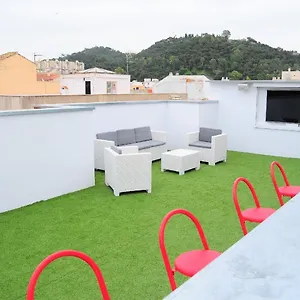 Barbatuke , Malaga Spain
